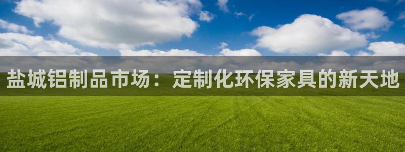 杏耀平台地址：盐城铝制品市场：定制化环保家具的新天地